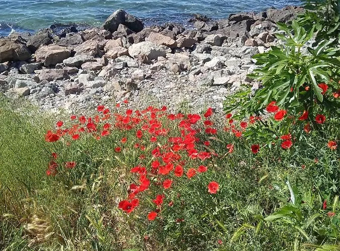 Private Studio, South Beaсh, Nessebar, Larisa Apartamento Nesebar