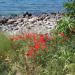 Private Studio, South Beaсh, Nessebar, Larisa דירה נסבר